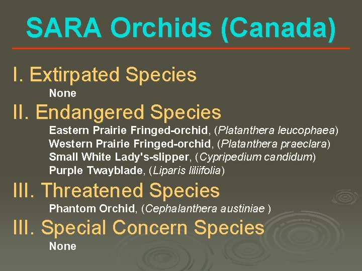 SARA Orchids (Canada) I. Extirpated Species None II. Endangered Species Eastern Prairie Fringed-orchid, (Platanthera