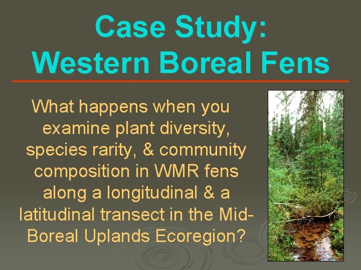 Case Study: Western Boreal Fens What happens when you examine plant diversity, species rarity,