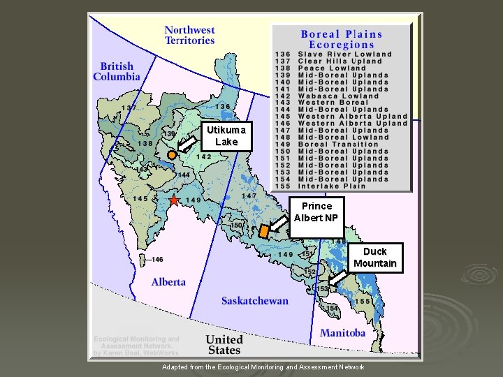 Utikuma Lake Prince Albert NP Duck Mountain Adapted from the Ecological Monitoring and Assessment