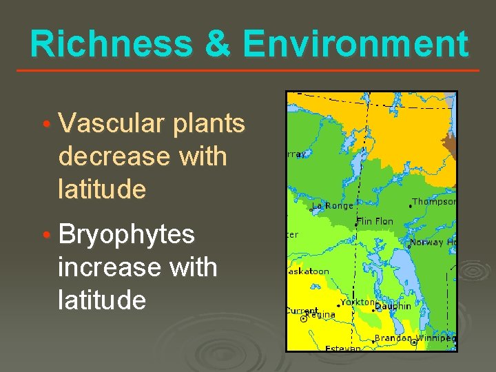 Richness & Environment • Vascular plants decrease with latitude • Bryophytes increase with latitude