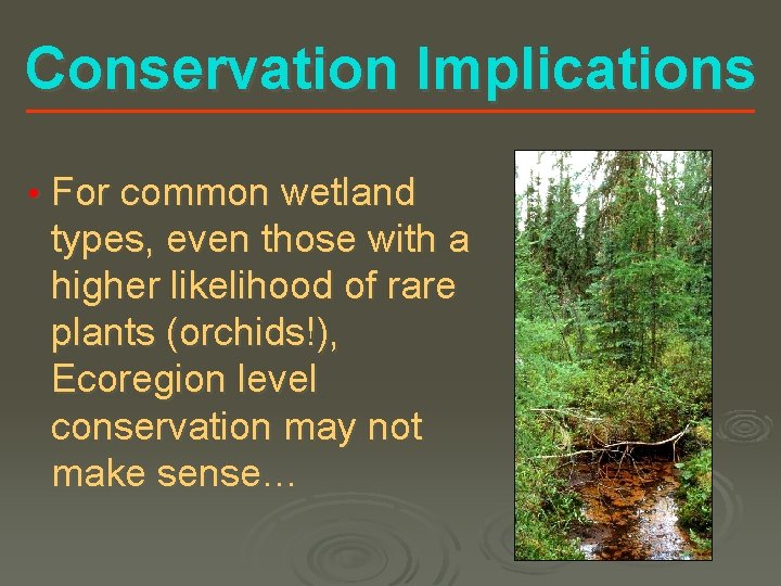 Conservation Implications • For common wetland types, even those with a higher likelihood of