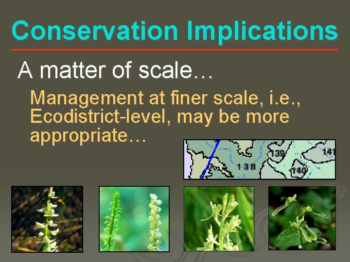 Conservation Implications A matter of scale… Management at finer scale, i. e. , Ecodistrict-level,