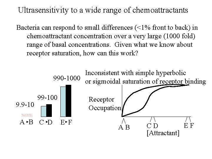 Ultrasensitivity to a wide range of chemoattractants Bacteria can respond to small differences (<1%
