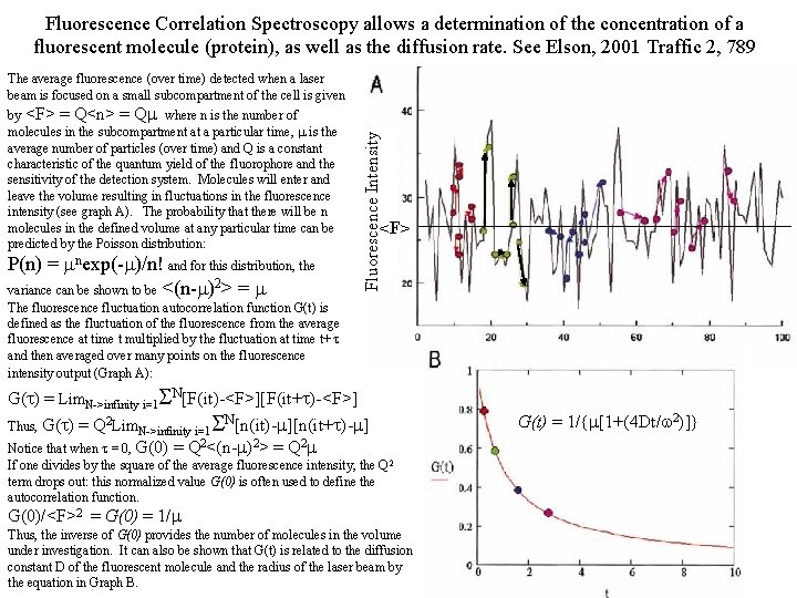 Fluorescence Correlation Spectroscopy allows a determination of the concentration of a fluorescent molecule (protein),