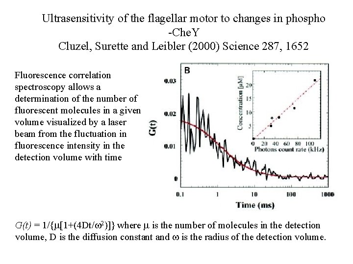 Ultrasensitivity of the flagellar motor to changes in phospho -Che. Y Cluzel, Surette and