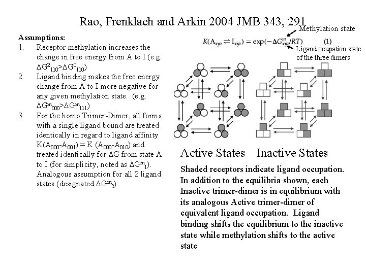 Rao, Frenklach and Arkin 2004 JMB 343, 291 Methylation state Assumptions: 1. Receptor methylation