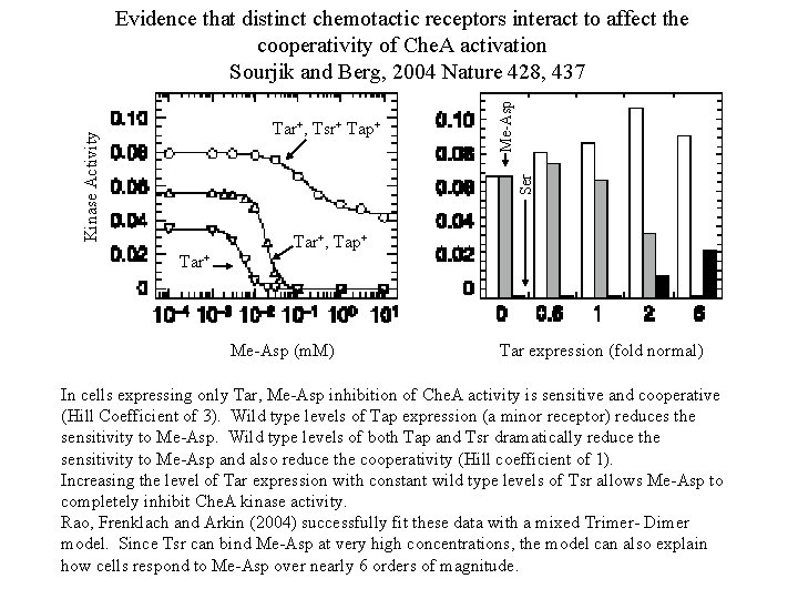 Ser Kinase Activity Tar+, Tsr+ Tap+ Me-Asp Evidence that distinct chemotactic receptors interact to