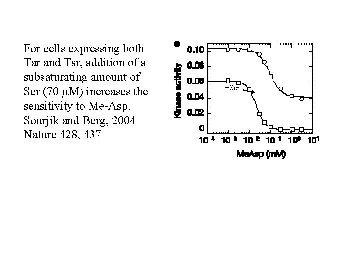 For cells expressing both Tar and Tsr, addition of a subsaturating amount of Ser