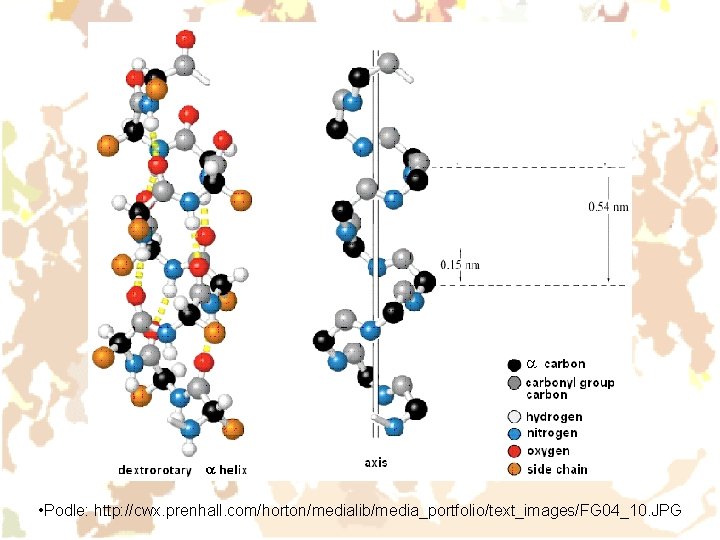 • Podle: http: //cwx. prenhall. com/horton/medialib/media_portfolio/text_images/FG 04_10. JPG • Podle: http: //cwx. prenhall. com/horton/medialib/media_portfolio/text_images/FG 04_10. JPG