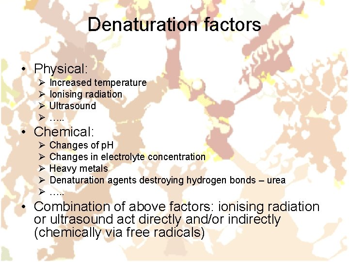 Denaturation factors • Physical: Ø Ø Increased temperature Ionising radiation Ultrasound …. . •