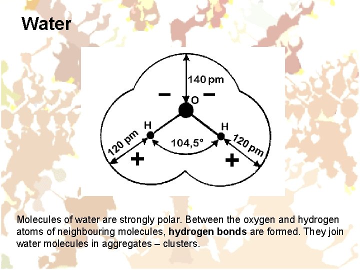 Water Molecules of water are strongly polar. Between the oxygen and hydrogen atoms of Water Molecules of water are strongly polar. Between the oxygen and hydrogen atoms of