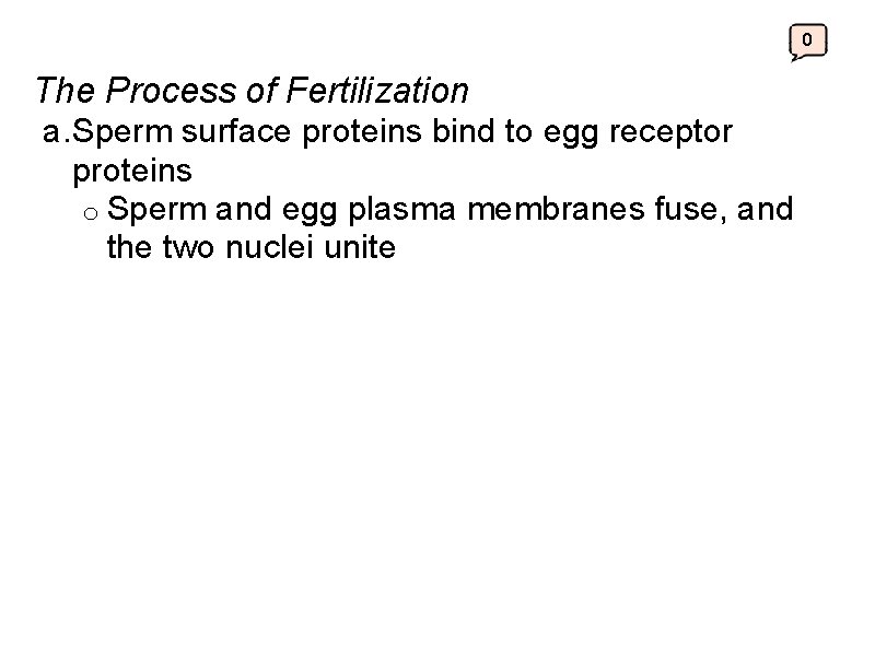 0 The Process of Fertilization a. Sperm surface proteins bind to egg receptor proteins