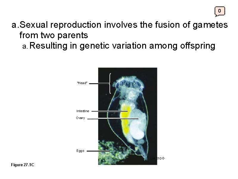 0 a. Sexual reproduction involves the fusion of gametes from two parents a. Resulting