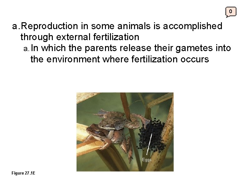 0 a. Reproduction in some animals is accomplished through external fertilization a. In which