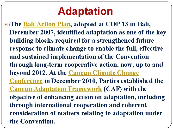 Adaptation The Bali Action Plan, adopted at COP 13 in Bali, December 2007, identified