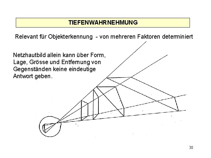 TIEFENWAHRNEHMUNG Relevant für Objekterkennung - von mehreren Faktoren determiniert Netzhautbild allein kann über Form,