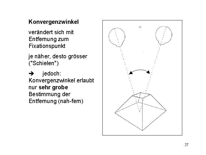 Konvergenzwinkel verändert sich mit Entfernung zum Fixationspunkt je näher, desto grösser ("Schielen") jedoch: Konvergenzwinkel