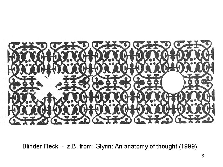 Blinder Fleck - z. B. from: Glynn: An anatomy of thought (1999) 5 