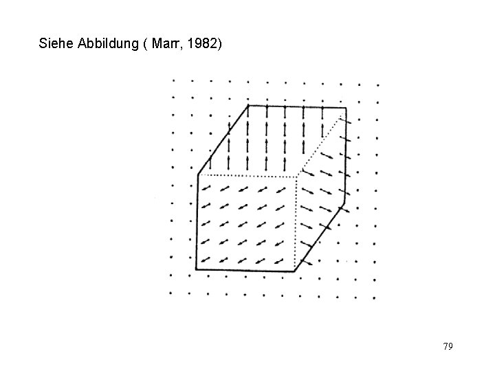 Siehe Abbildung ( Marr, 1982) 79 