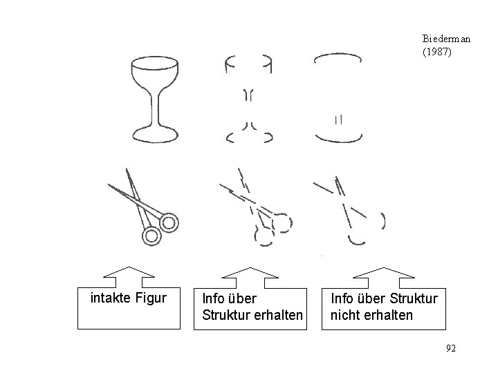 Biederman (1987) intakte Figur Info über Struktur erhalten Info über Struktur nicht erhalten 92