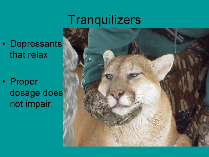 Tranquilizers • Depressants that relax • Proper dosage does not impair 