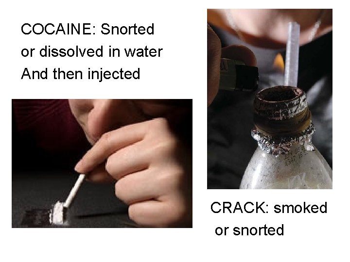 COCAINE: Snorted or dissolved in water And then injected CRACK: smoked or snorted 