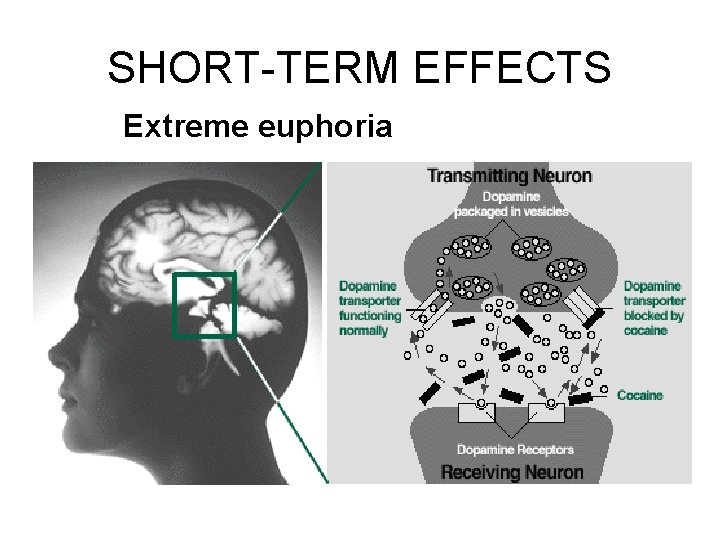 SHORT-TERM EFFECTS Extreme euphoria 