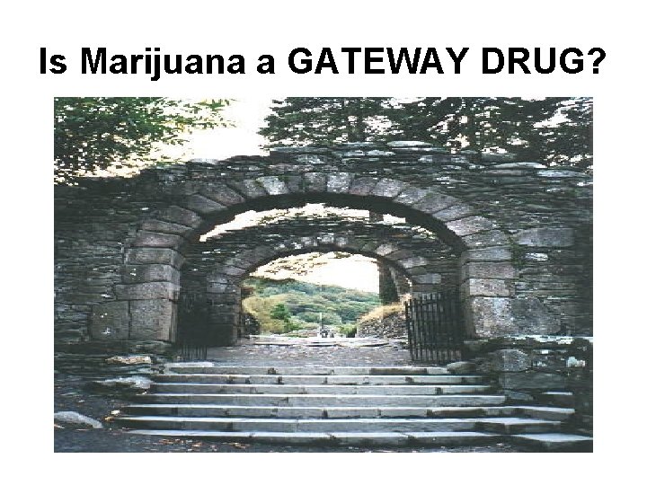 Is Marijuana a GATEWAY DRUG? 