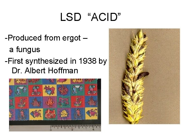 LSD “ACID” -Produced from ergot – a fungus -First synthesized in 1938 by Dr.