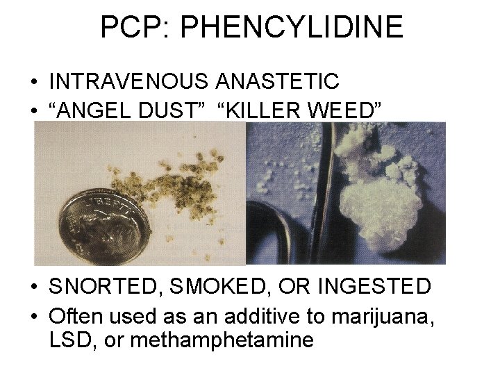 PCP: PHENCYLIDINE • INTRAVENOUS ANASTETIC • “ANGEL DUST” “KILLER WEED” • SNORTED, SMOKED, OR