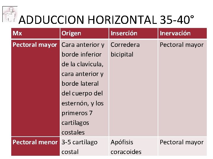 ADDUCCION HORIZONTAL 35 -40° Mx Origen Pectoral mayor Cara anterior y borde inferior de