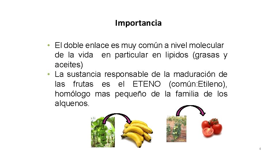 Importancia • El doble enlace es muy común a nivel molecular de la vida