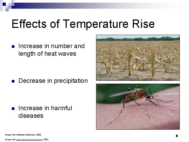 Effects of Temperature Rise n Increase in number and length of heat waves n