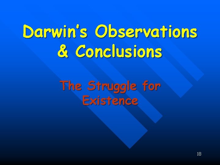 Darwin’s Observations & Conclusions The Struggle for Existence 18 