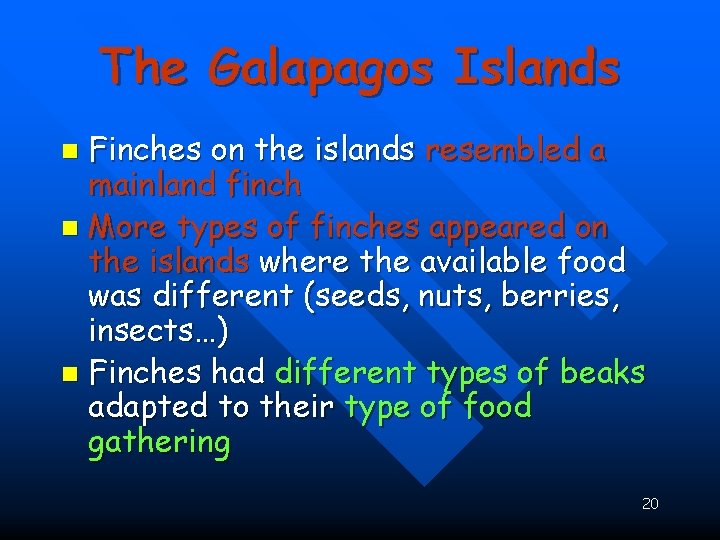 The Galapagos Islands Finches on the islands resembled a mainland finch n More types