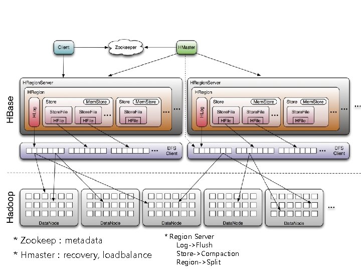 * Zookeep : metadata * Hmaster : recovery, loadbalance * Region Server Log->Flush Store->Compaction