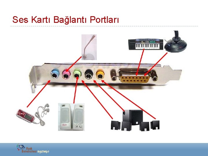 Ses Kartı Bağlantı Portları 