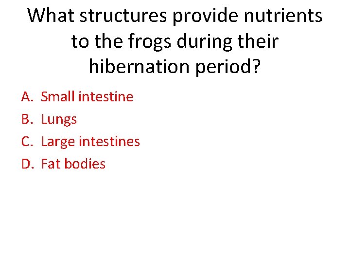 What structures provide nutrients to the frogs during their hibernation period? A. B. C.