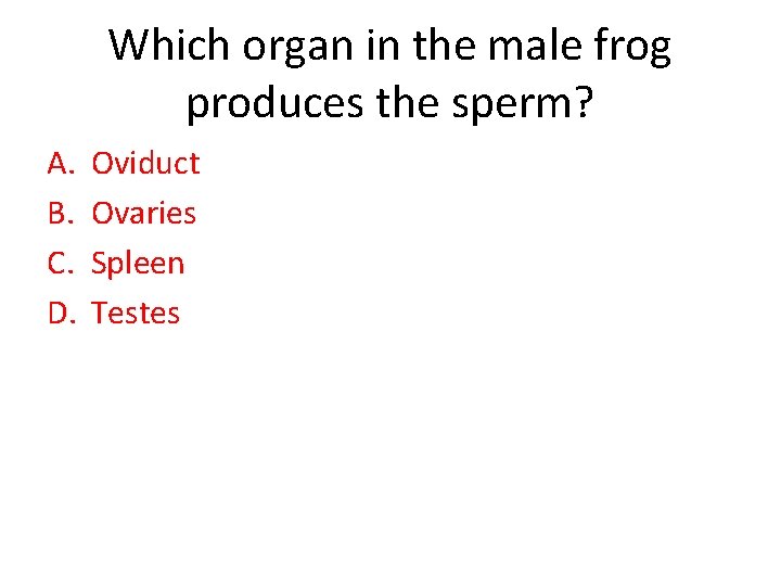 Which organ in the male frog produces the sperm? A. B. C. D. Oviduct