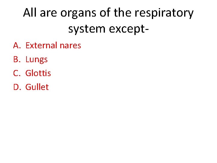 All are organs of the respiratory system except. A. B. C. D. External nares