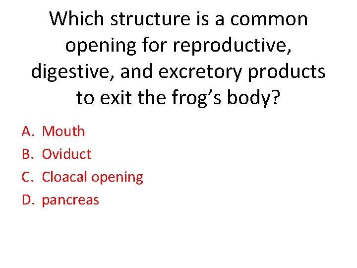 Which structure is a common opening for reproductive, digestive, and excretory products to exit