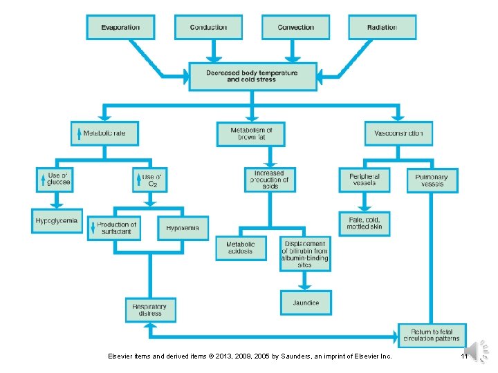 Elsevier items and derived items © 2013, 2009, 2005 by Saunders, an imprint of