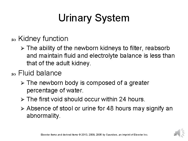 Urinary System Kidney function Ø The ability of the newborn kidneys to filter, reabsorb