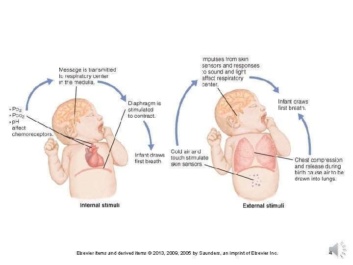 Elsevier items and derived items © 2013, 2009, 2005 by Saunders, an imprint of
