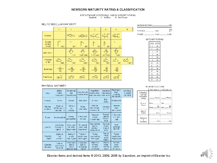 Elsevier items and derived items © 2013, 2009, 2005 by Saunders, an imprint of Elsevier items and derived items © 2013, 2009, 2005 by Saunders, an imprint of