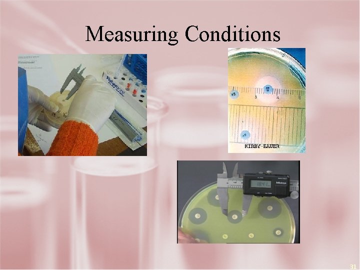 Measuring Conditions Rulr 31 