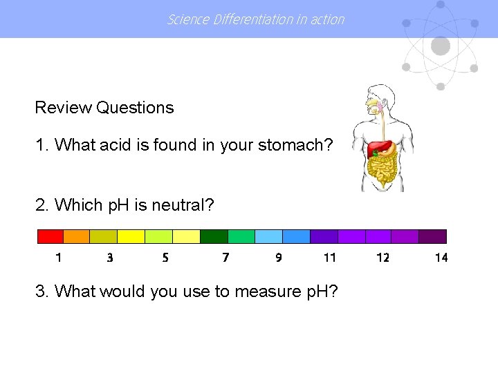 Science Differentiation in action Review Questions 1. What acid is found in your stomach?