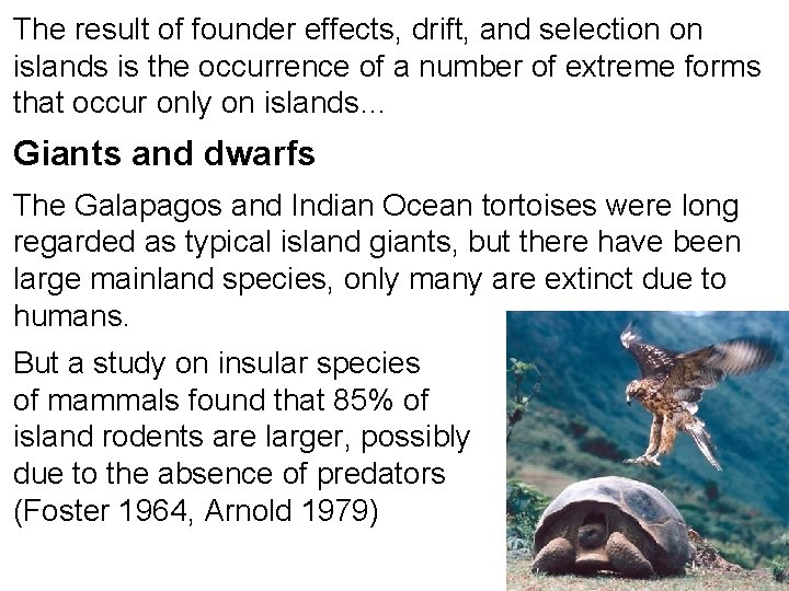 The result of founder effects, drift, and selection on islands is the occurrence of