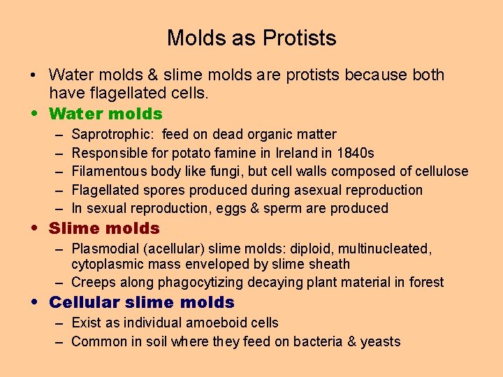 Molds as Protists • Water molds & slime molds are protists because both have