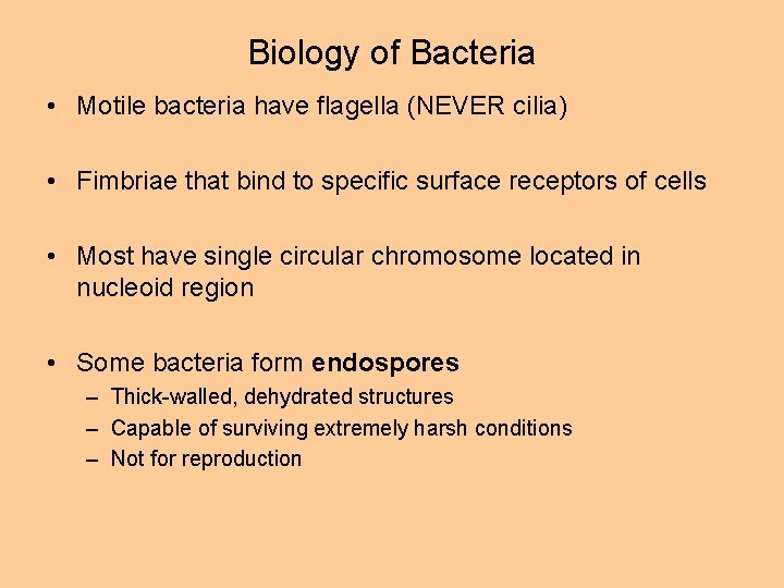 Biology of Bacteria • Motile bacteria have flagella (NEVER cilia) • Fimbriae that bind